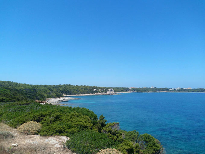 Isola di Pianosa (5)