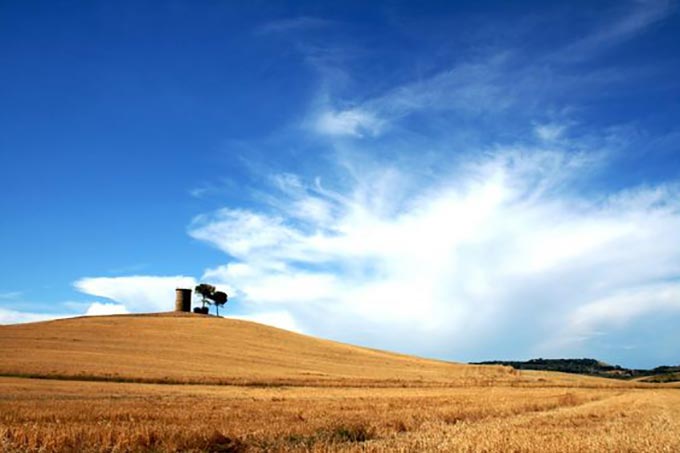 Bibbona di turismo.intoscana