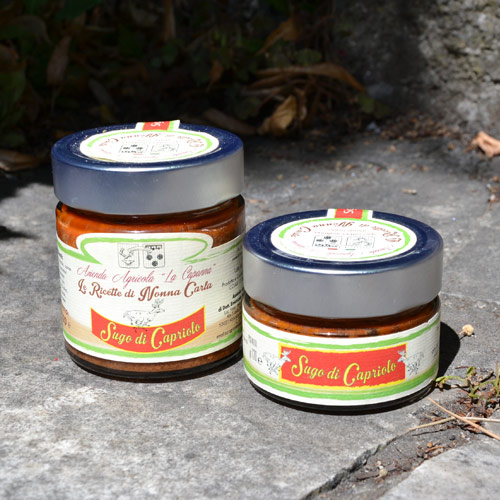 sugo-di-capriolo-11
