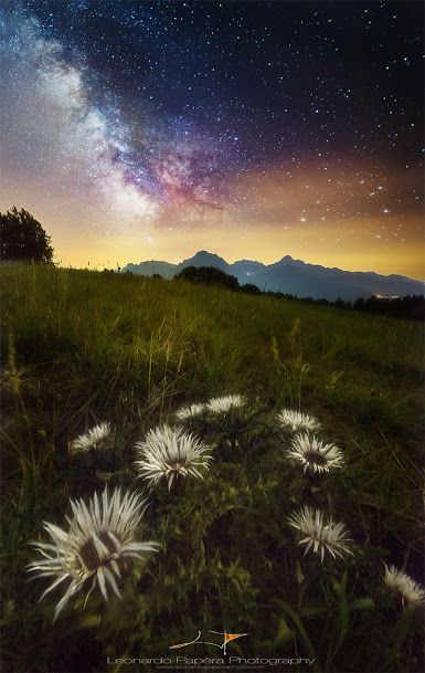 toscana-sistema-solare-di-leonardo-papera