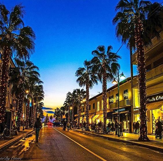 forte dei marmi di livingfortedeimarmi