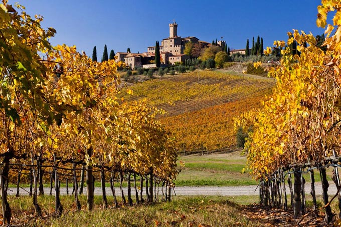 a-spasso-per-la-toscana-vendemmia