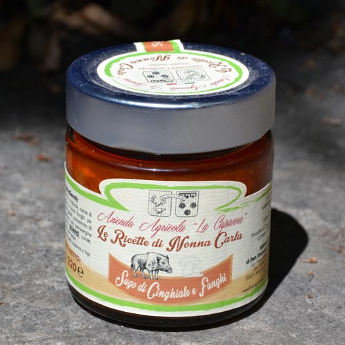 sugo-di-cinghiale-e-funghi-2
