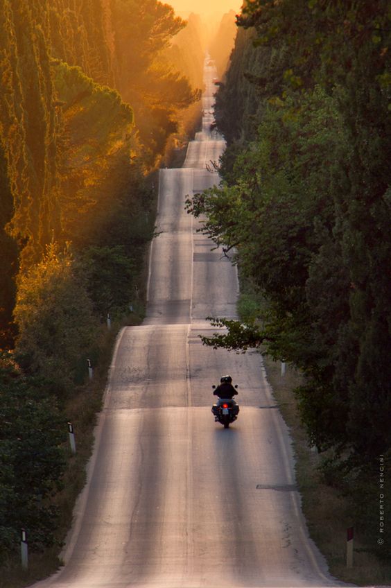 Viale dei Cipressi di Roberto Nencini