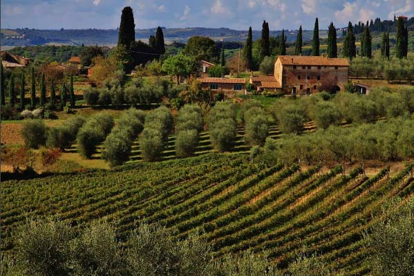 Rilassati in mezzo al verde di Castelnuovo Berardenga