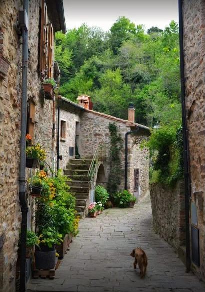 Scopri l'antico borgo medievale di Castelnuovo Val di Cecina