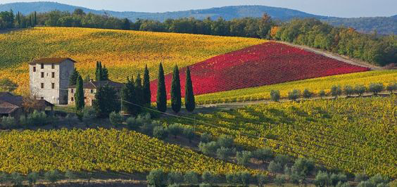 Visita Gaiole in Chianti e lasciati conquistare dai suoi colori