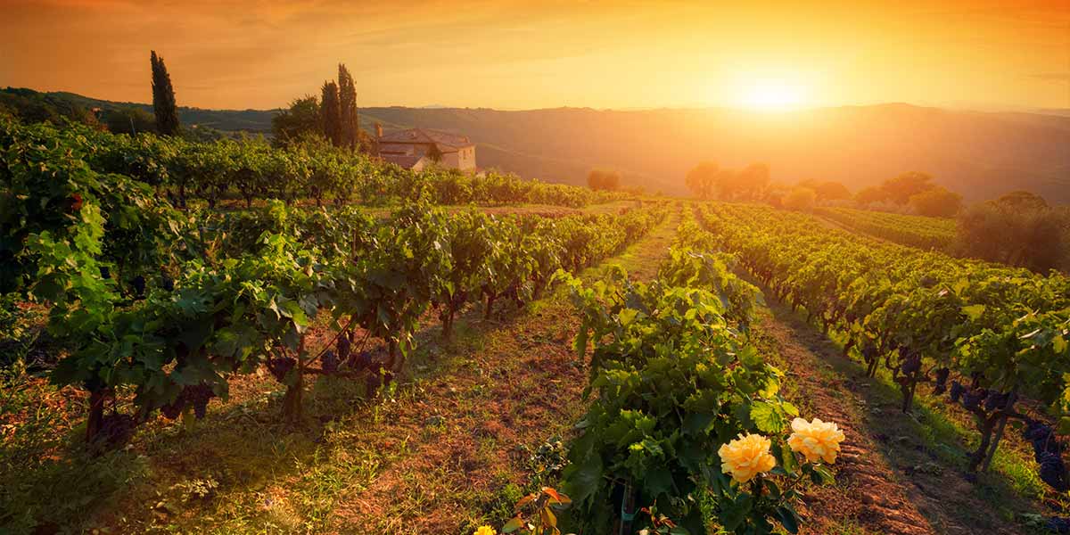 Vivere la Toscana - Una terra ricca e affascinante